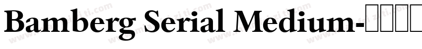 Bamberg Serial Medium字体转换